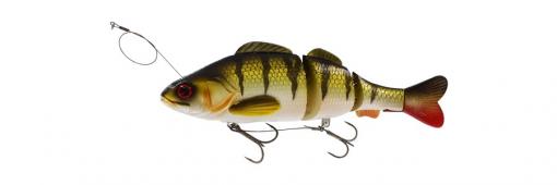 Percy the Perch HL Inline